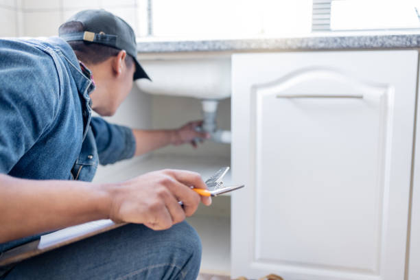 Best Septic Systems  in La Selva Beach, CA
